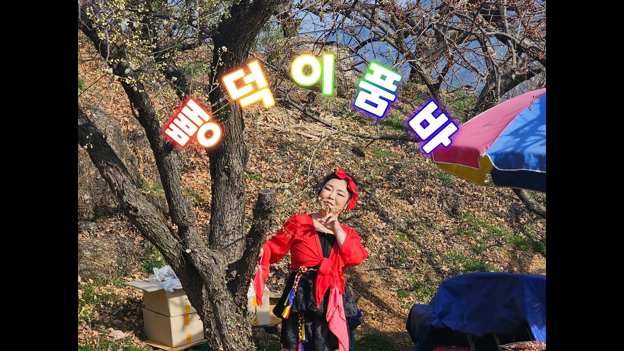 #박종곤 TV'3월12일🌸광양🌼매화축제