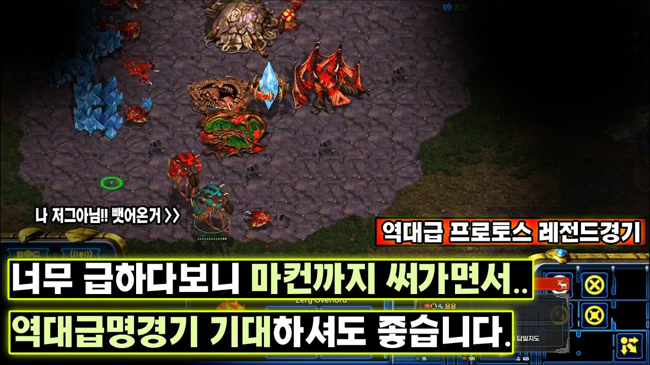 [더드튜브] 최고 동시시청자 기록 역대급 프로토스 명경기 기대하셔도 좋습니다! 스타팀플 헌터