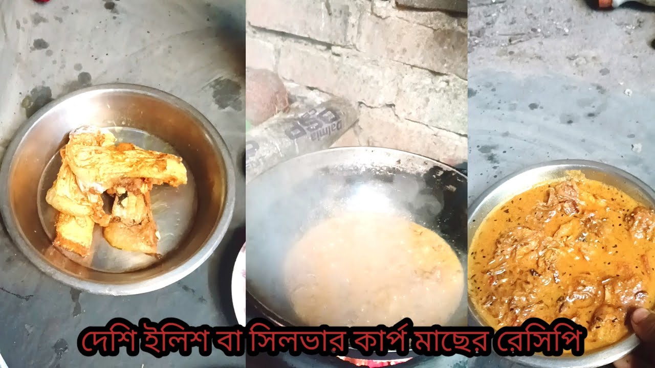 দুপুরে দেশি ইলিশে তেল ঝাল তরকারী দিয়ে ভাত খাওয়া খুব ভালো হবে 