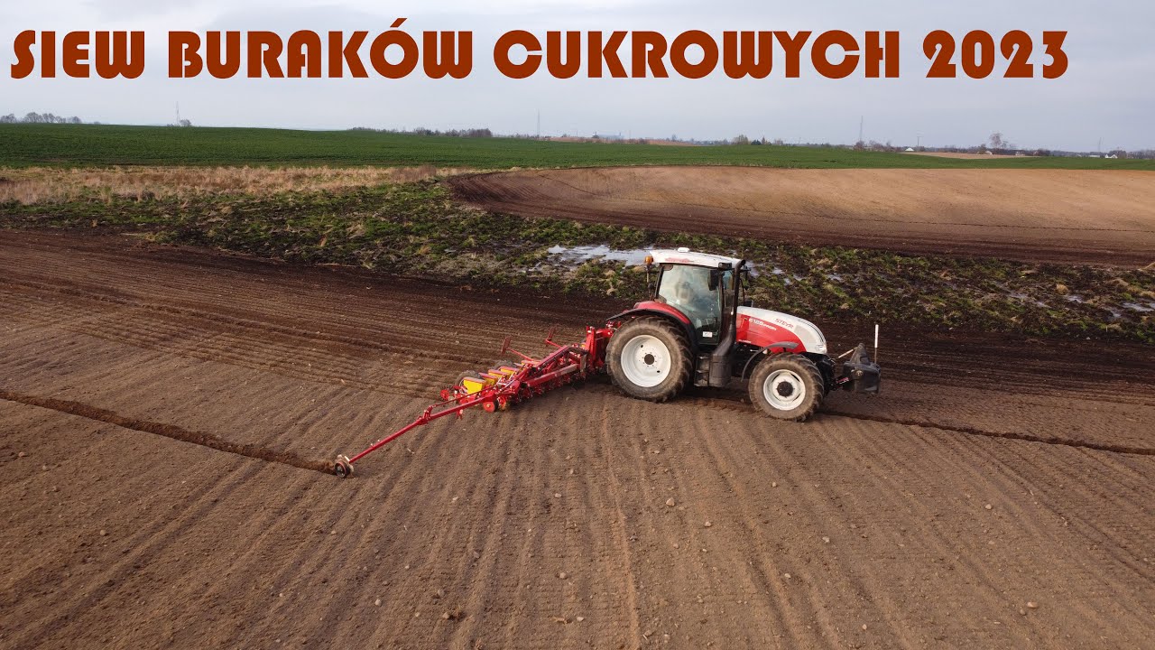 SIEW BURAKÓW 2023 | Grimme Matrix 1800