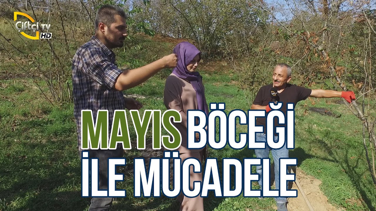 Mayıs Böceği İle Mücadele! (Mayıs Böceğinin Nedenleri ve Çözümleri) - Derdimiz Fındık
