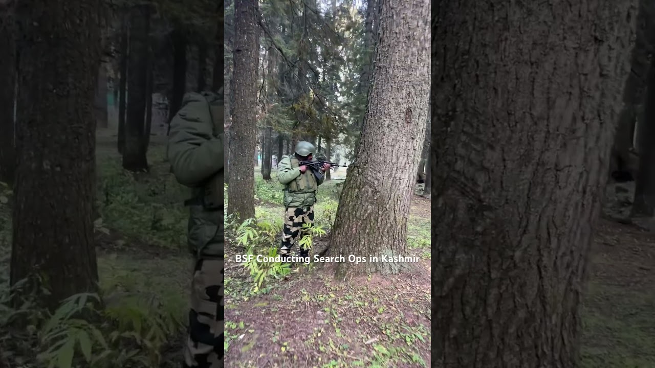 BSF Conducting Massive Search Operations in Forest Area Of LoC in Kashmir. #bsf #india #Pakistan