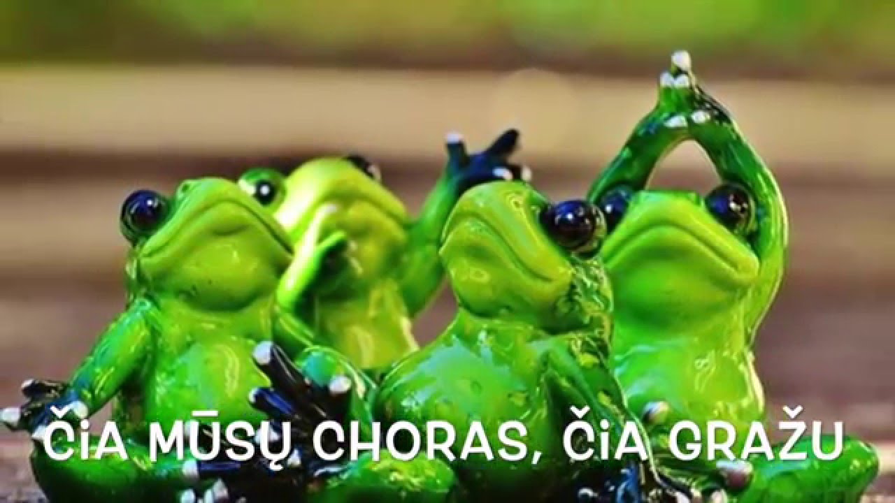 DŽIMBA - Varlyčių choras