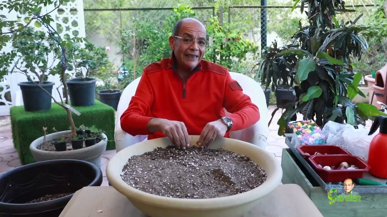 زراعة طبقات مختلفة من الابصال ضمان التزهير طوال الربيع مع شردي جاردن