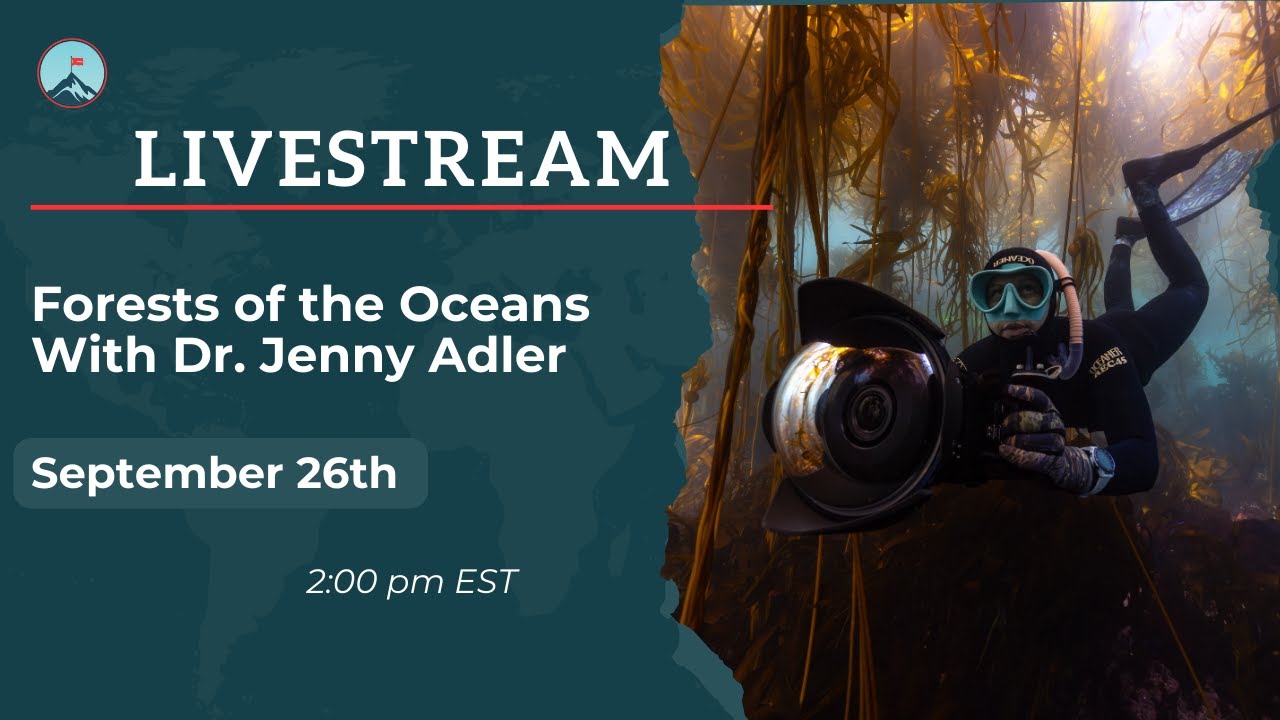 Forests of the Oceans With Dr. Jenny Adler