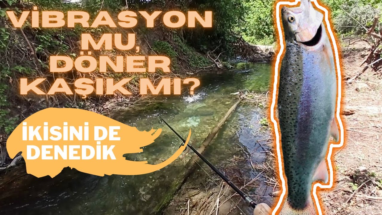 VİBRASYON MU DÖNER KAŞIK MI?🔸 ALABALIK HANGİ YEMİ SEVER?🔸VIBRATION OR ROTATING SPOON? #troutfishing