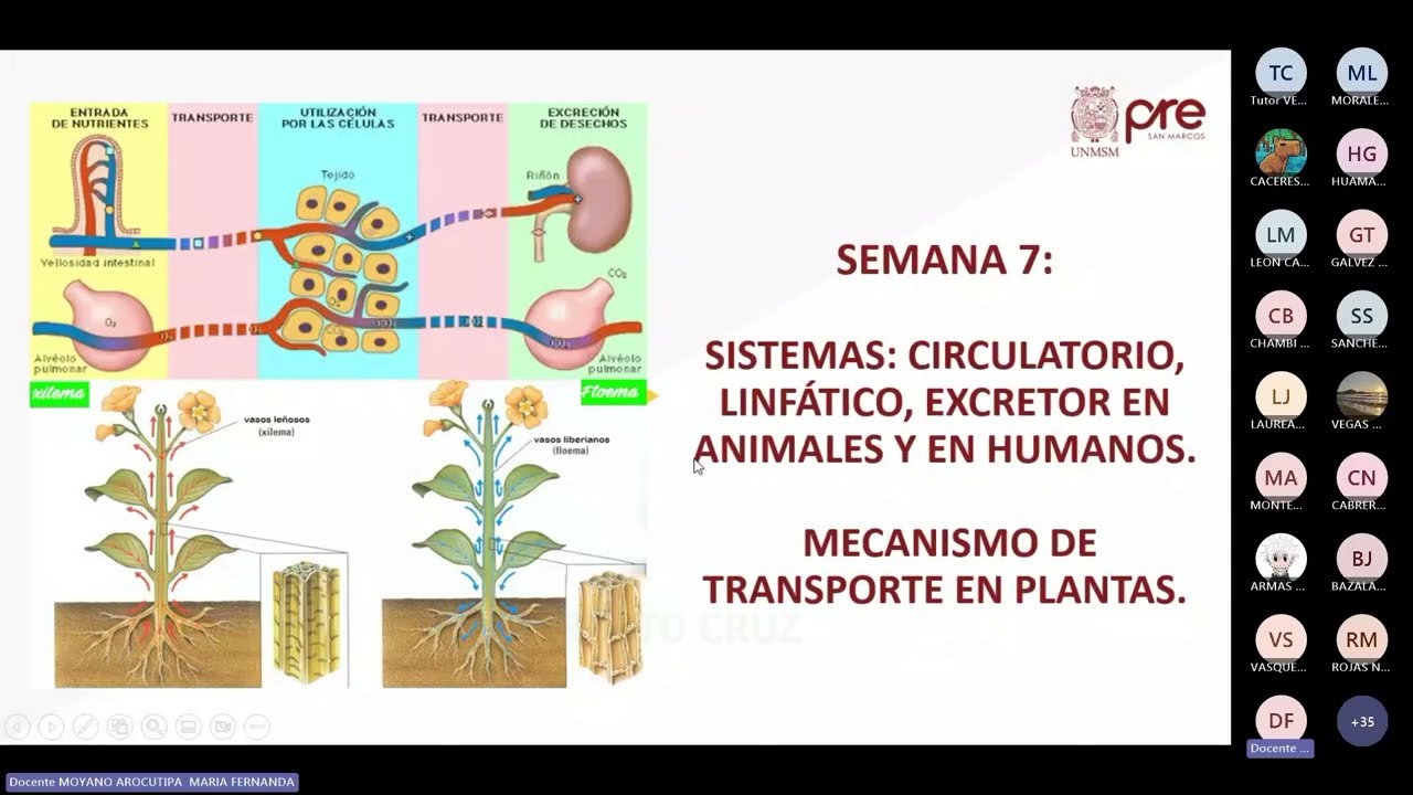 Biología - Semana 07 - Pre San Marcos Ciclo 2024-II (Nuevo Ciclo)