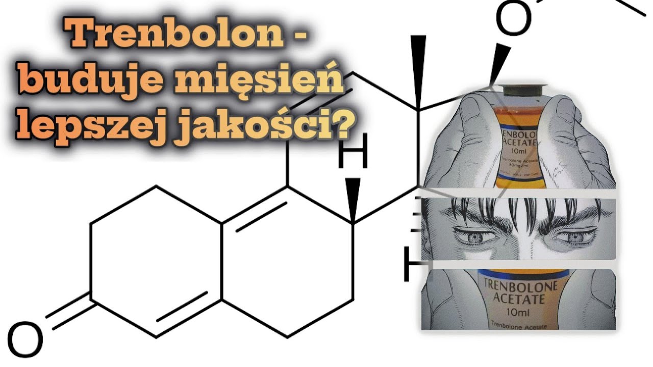 TRENBOLON BUDUJE LEPSZY MIĘSIEŃ? TREN NA SUCHĄ MASĘ?
