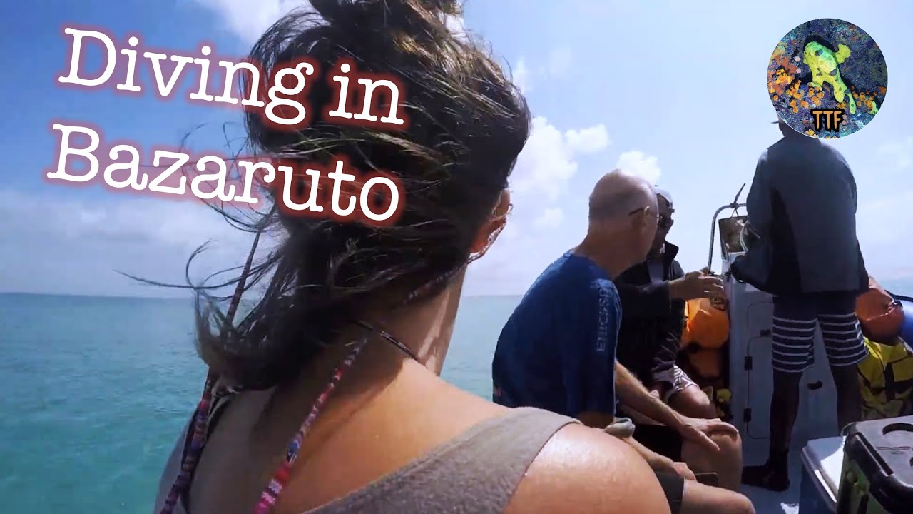Diving in Bazaruto - Mozambique