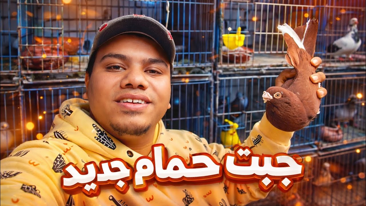 فطام طريحه زغاليل 🐣🕊️ و جوزت الحمام 🔥متابعة السلاكه