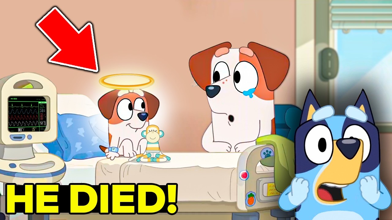 15 UNANSWERED QUESTIONS You Didn’t Know! (BLUEY)