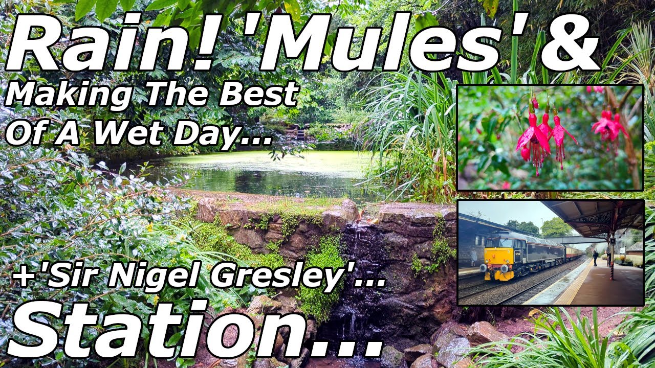 Making The Best Of A Wet Day - Mules Park & Teignmouth Station - 220/07/24