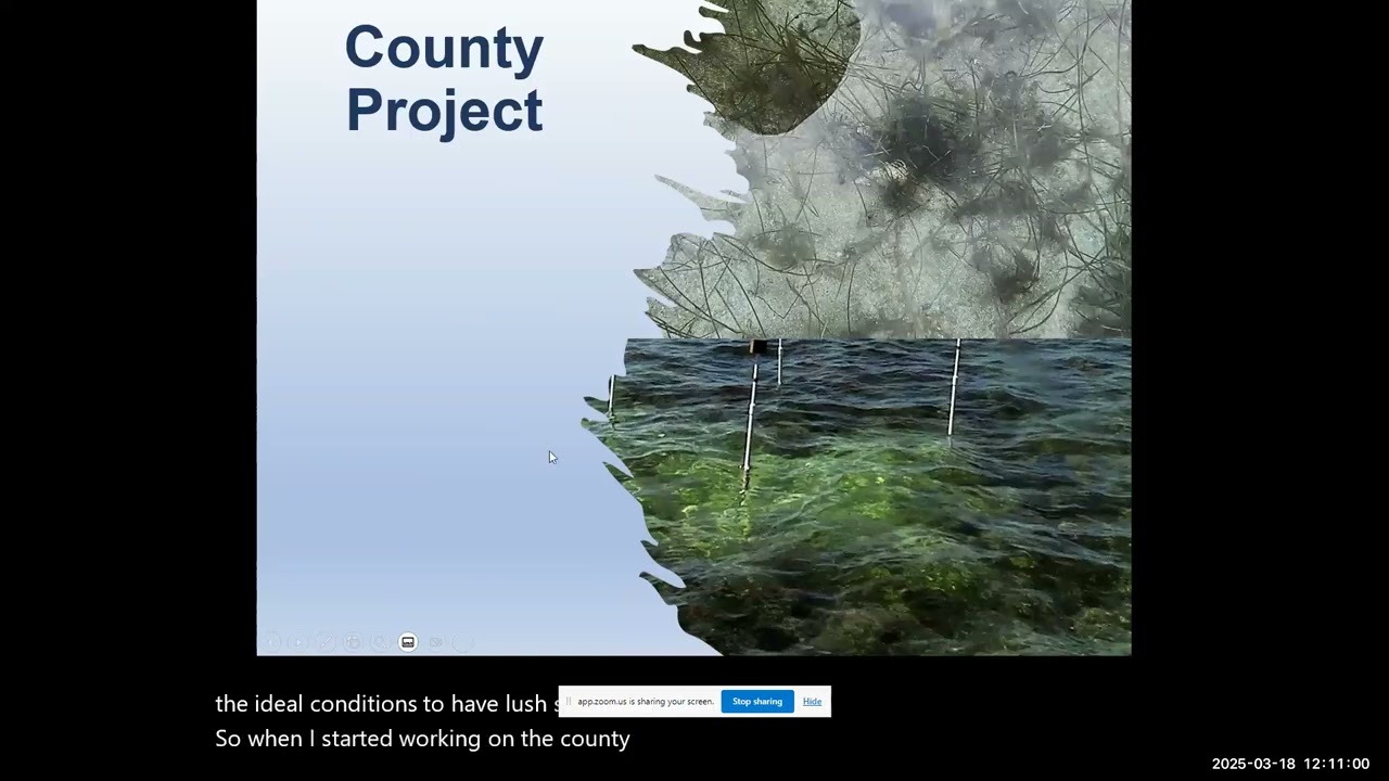 Martin County's Seagrass Restoration Efforts