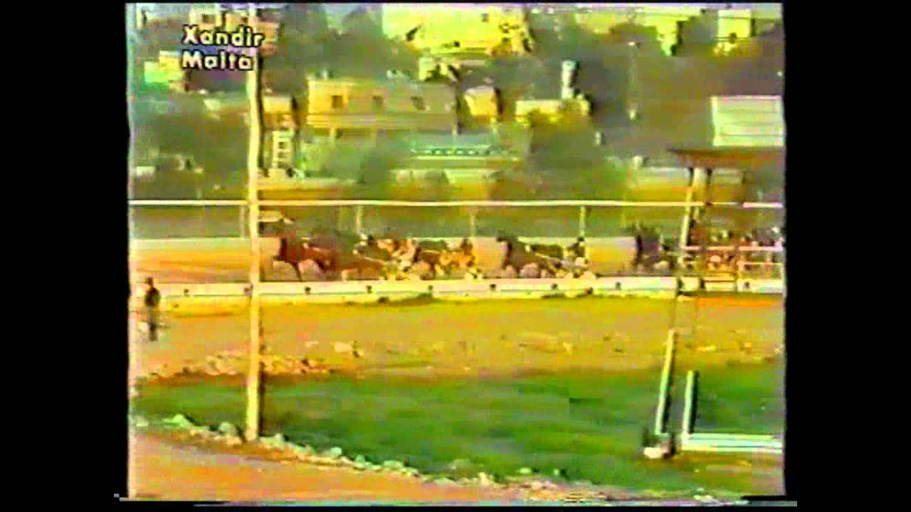 VOB Championship 1983