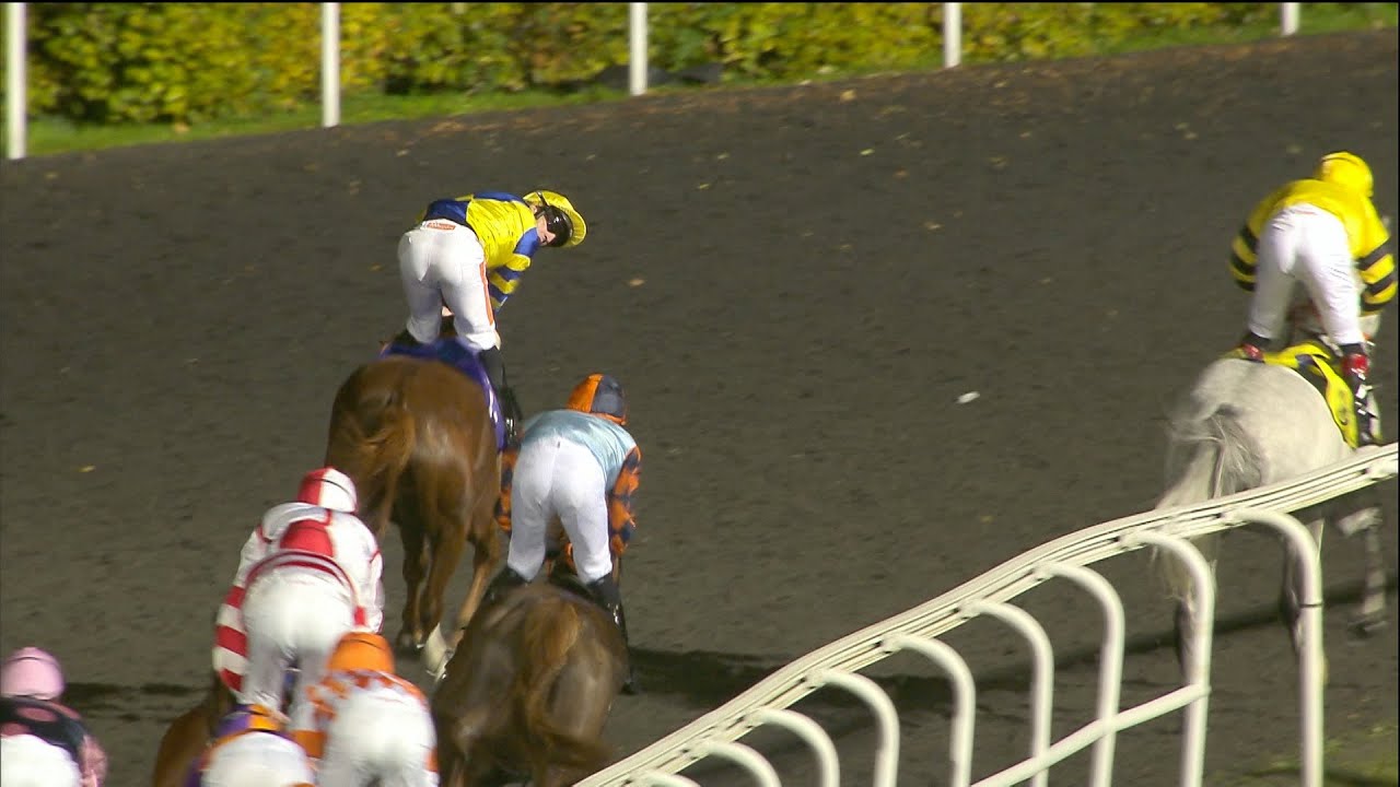 😲 DRAMA! Neil Callan rides a finish a circuit too soon at Kempton - Racing TV