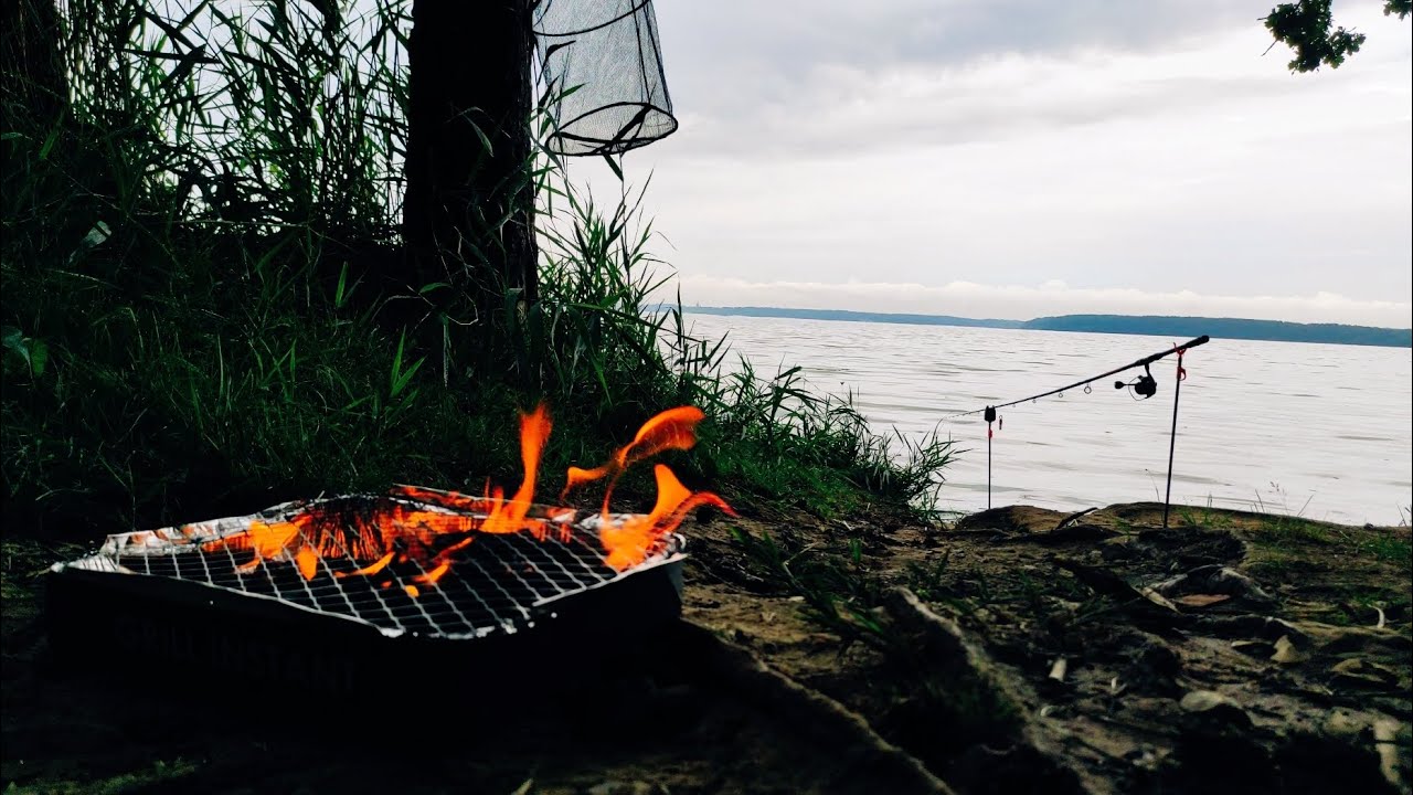 Žvejybą Kauno mariose 💁🎣 Karšiai, Karosai, Lynai, Karpiai, kur dingo visos žuvys?