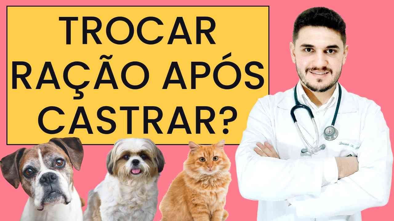 RAÇÃO PARA ANIMAIS CASTRADOS É NECESSÁRIA?