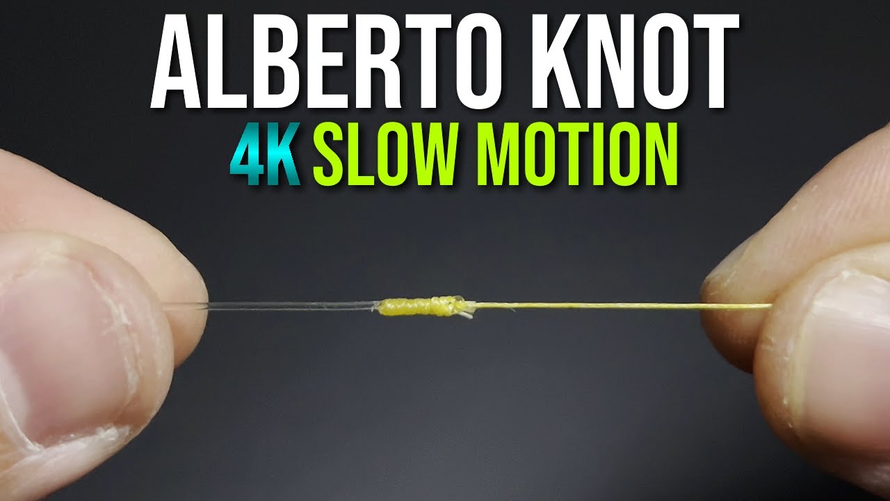 How to Tie an ALBERTO KNOT! | 