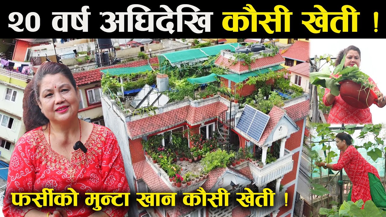 २० वर्ष अघिदेखि कौसी खेती गर्दै बिन्दु कार्की - Roof top farming in Nepal | Kausi Kheti