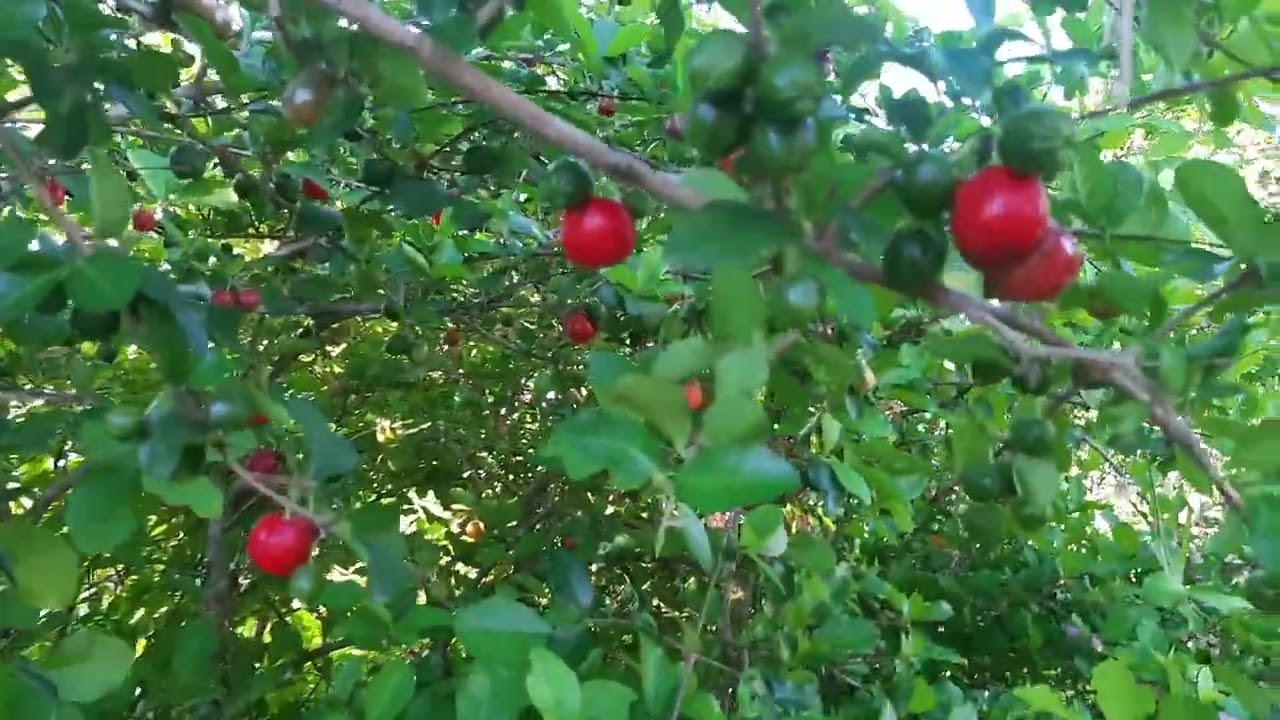 16 de março de 2026