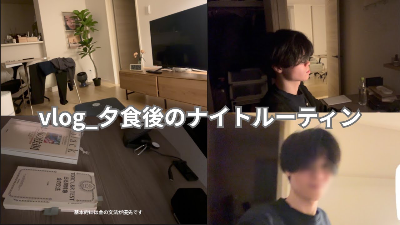 【vlog】_夕食後ナイトルーティン_IT勤務の郊外アラサー