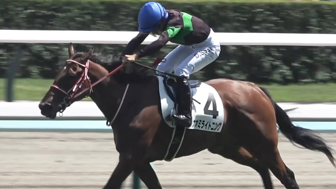 【現地】2025 メイクデビュー 新馬戦 ナオミライトニング 佐々木大輔【札幌競馬場】
