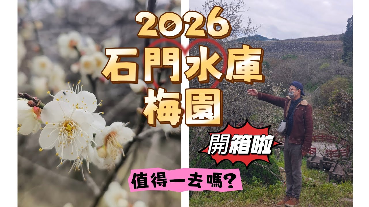 2026 石門水庫 梅園 開箱啦 值得一去嗎  /應該是來早了 梅花是越冷越開花 遇到對的時點 一切就美了 #槭林公園 #石門水庫