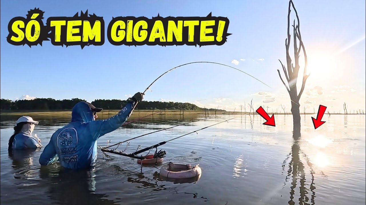 PESCARIA RAIZ de Porquinho GIGANTE! Essa CEVA chamou os BRUTOS | Rio Grande 😱🎣