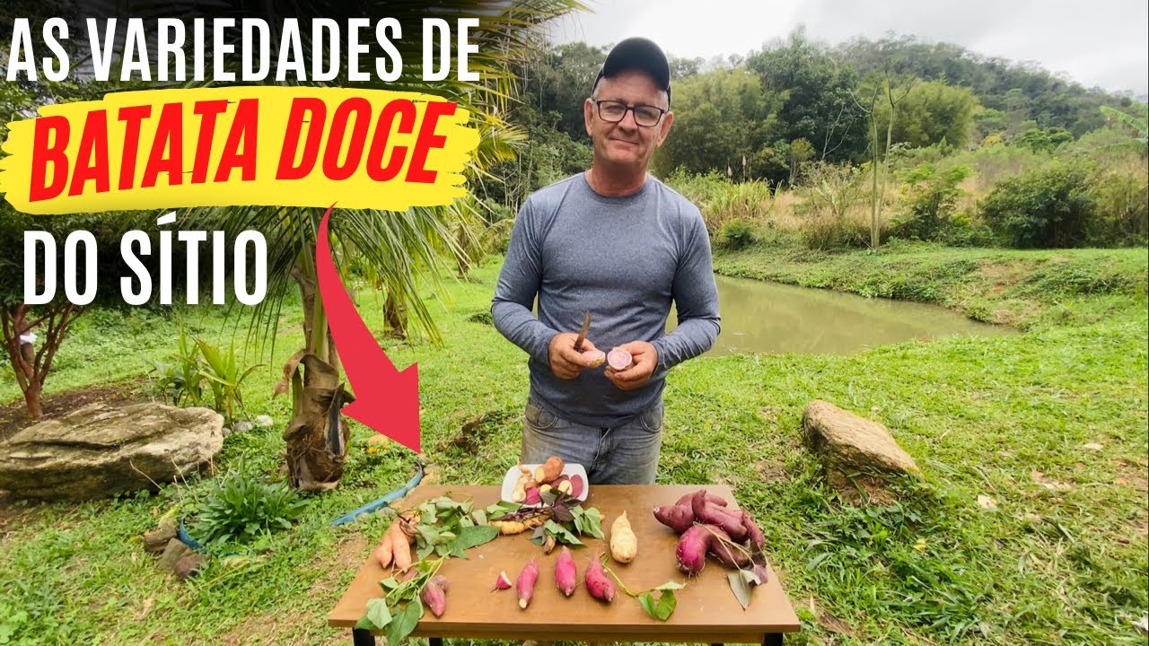 PROVANDO as BATATAS DOCES da RO&Ccedil;A /Bora pra Ro&ccedil;a?
