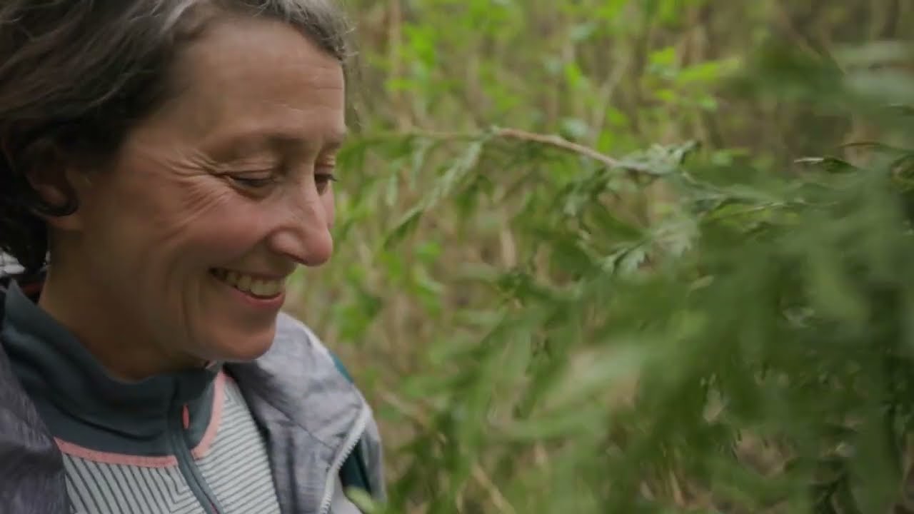 Earth Day 2022: From blackberries and mud to a thriving urban wetland park