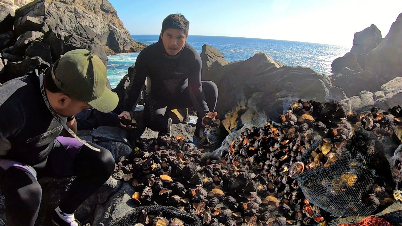 Mira! la Extracción de Mariscos por lugares Arriesgados