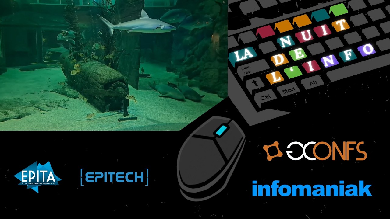 Nuit de l'info 2025 - Vincent Bensadi : Fish Tracker : L’IA, nouvelle alliée des océans