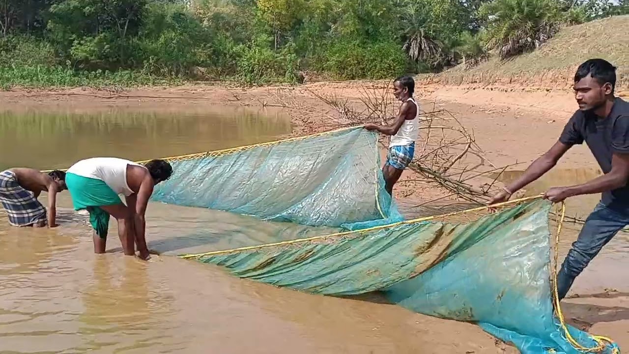 #বাঁধে মাছ ধরা#