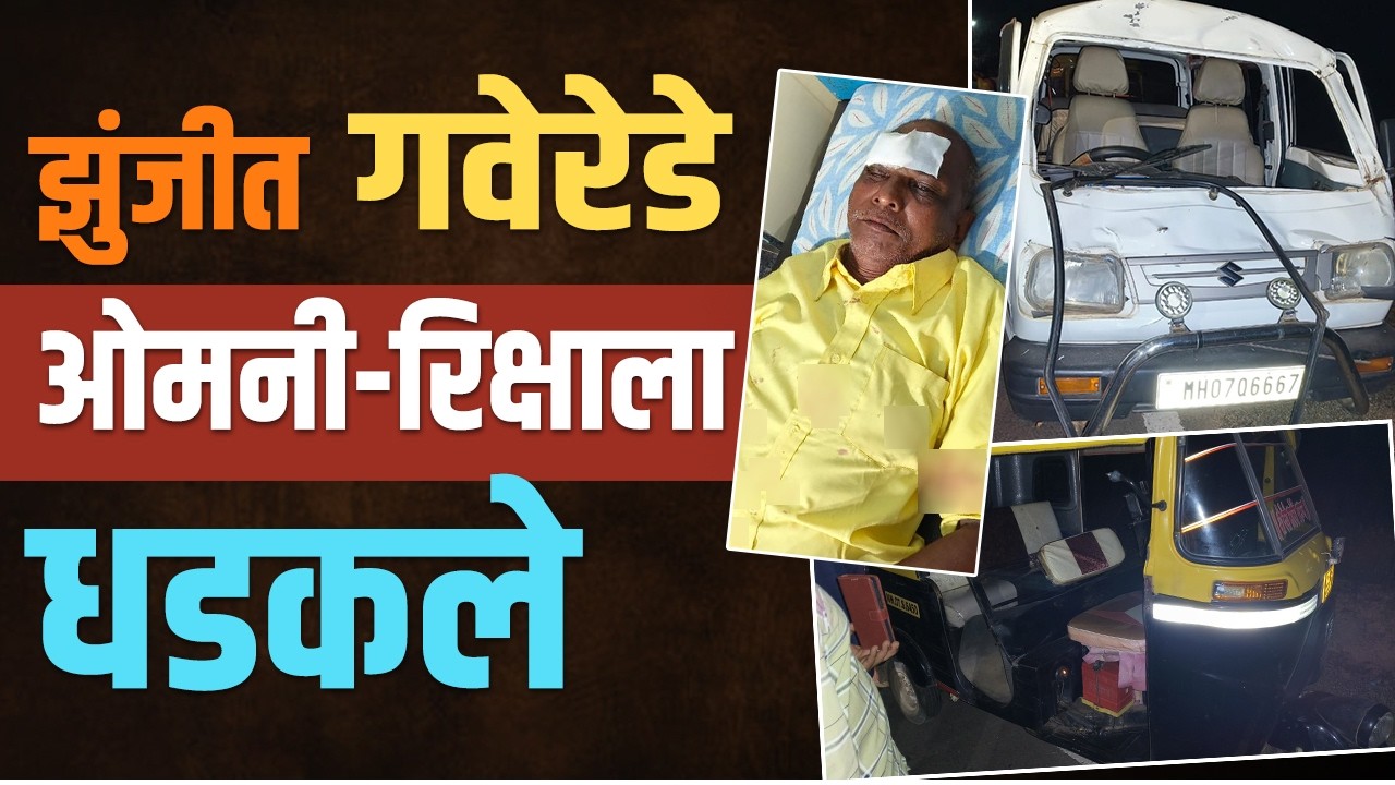 गव्यांची झुंज | ओमनीला धडक | वाहनचालक जखमी | Accident