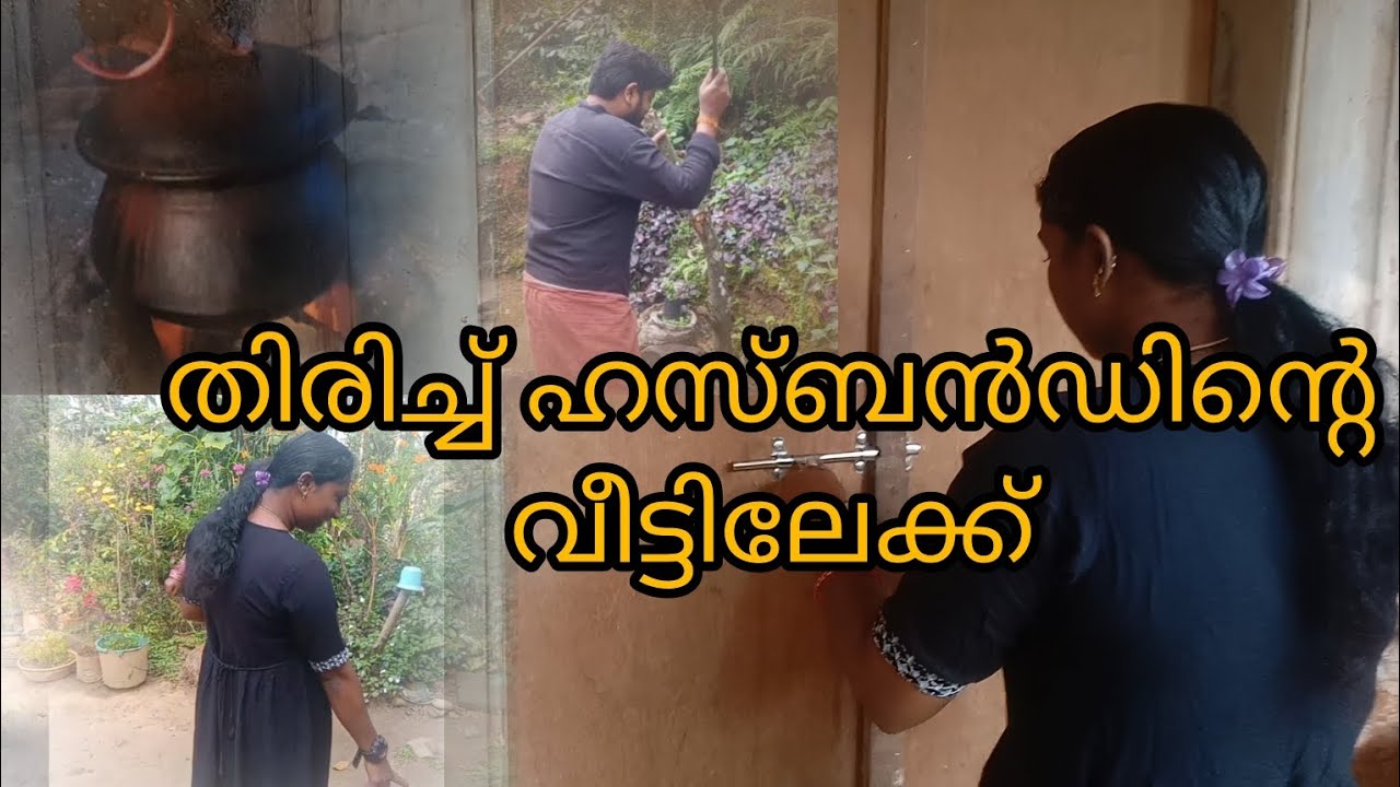 അങ്ങനെ കുറച്ചു ദിവസങ്ങൾക്ക് ശേഷം ഞാൻ ഏട്ടന്റെ വീട്ടിലേക്ക്  |#travel #video #vibishaashok 