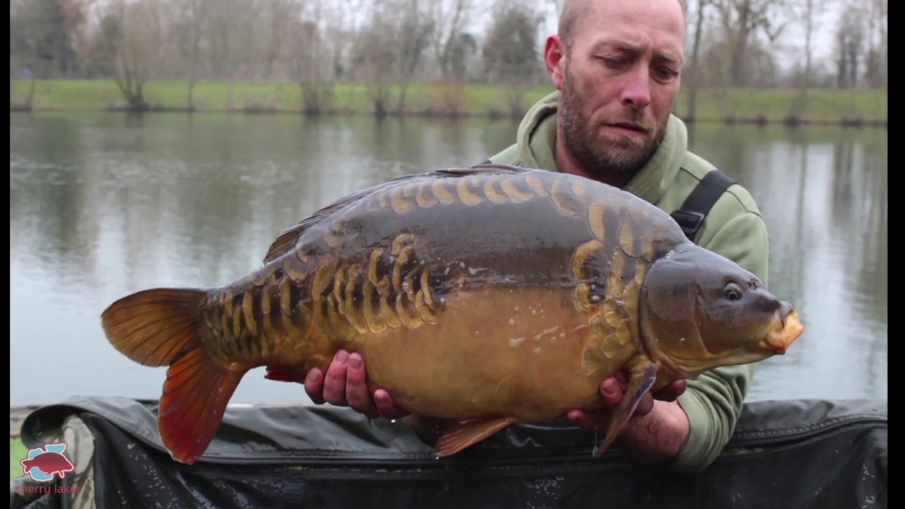 Cherry Springs & Kingfisher Lodge