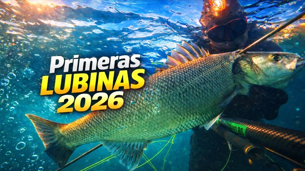 Primeras Lubinas 2026