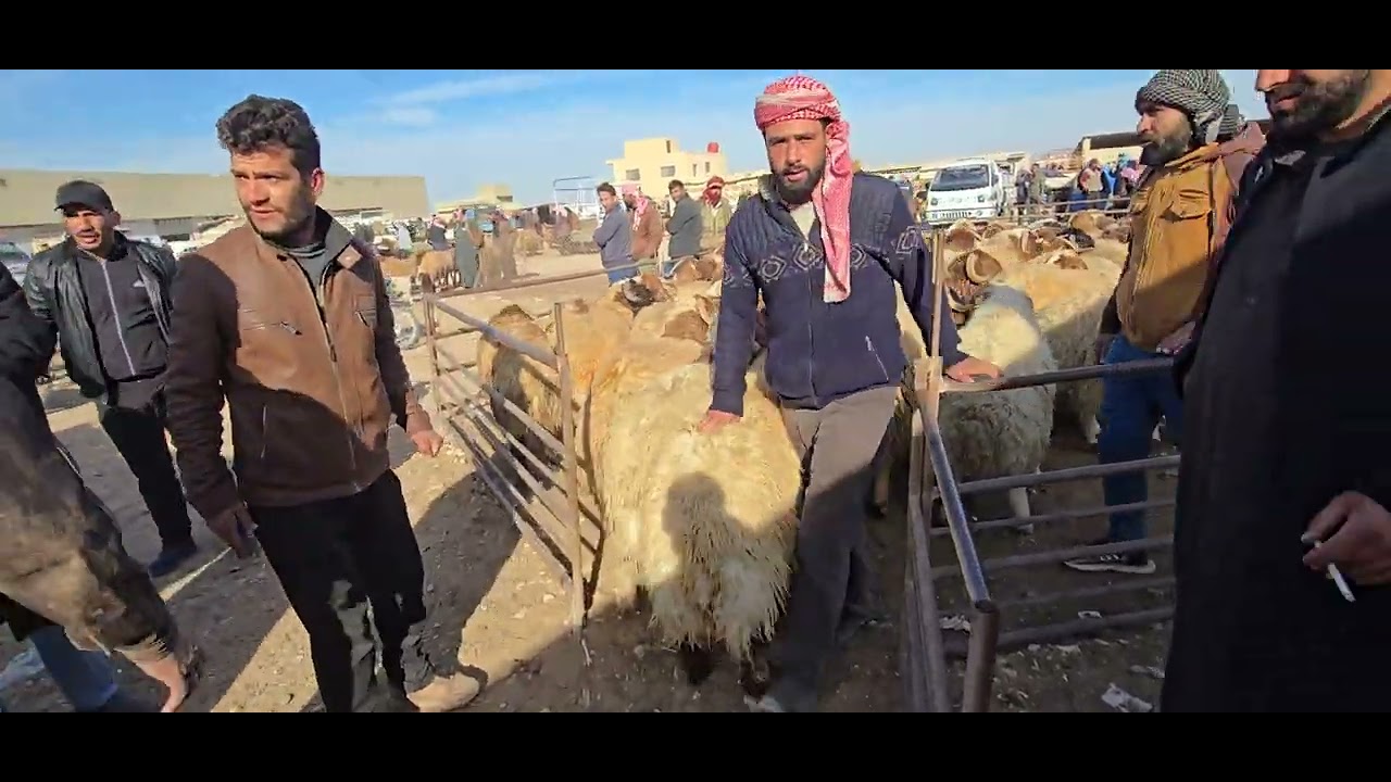لاول مره منذ 11سنة حمص سوق السوح