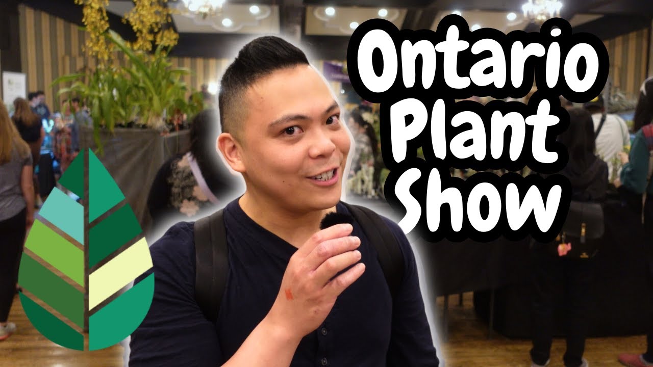 🌱 ontario plant show 2024 | monstera, anthurium, hoya, orchids & more