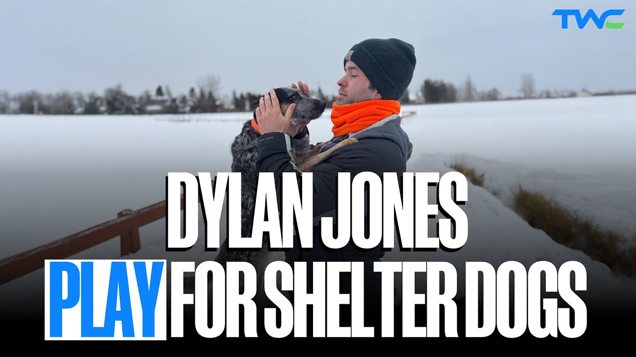 Dylan Jones: PLAY for Shelter Dogs