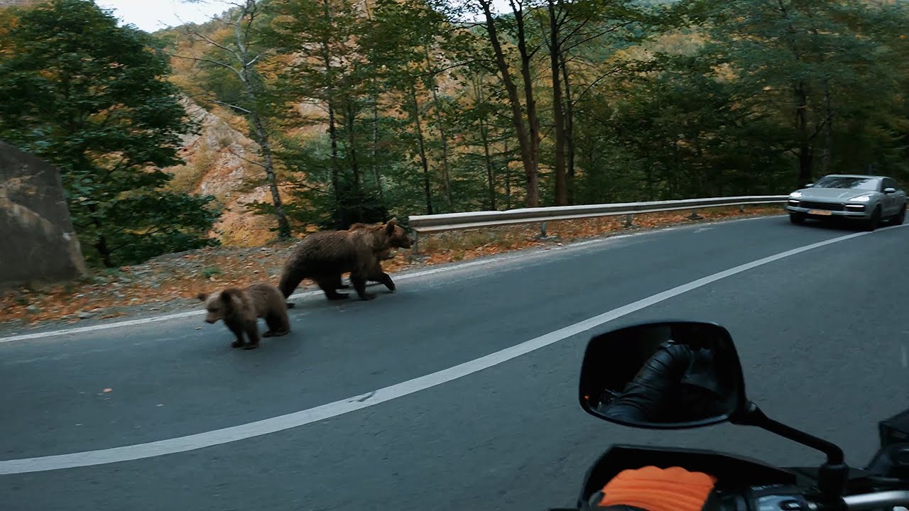 TRANSFAGARASAN ROAD ROMANIA 🇷🇴, SUZUKI V-STROM 650, LETS GO 🏍️WO SIND DIE BÄREN 🐻?