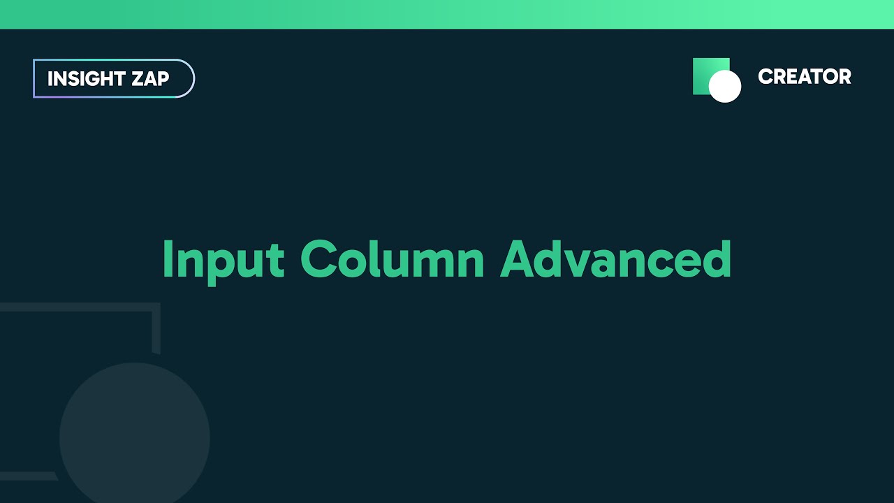 Insight Zap Input Column Advanced