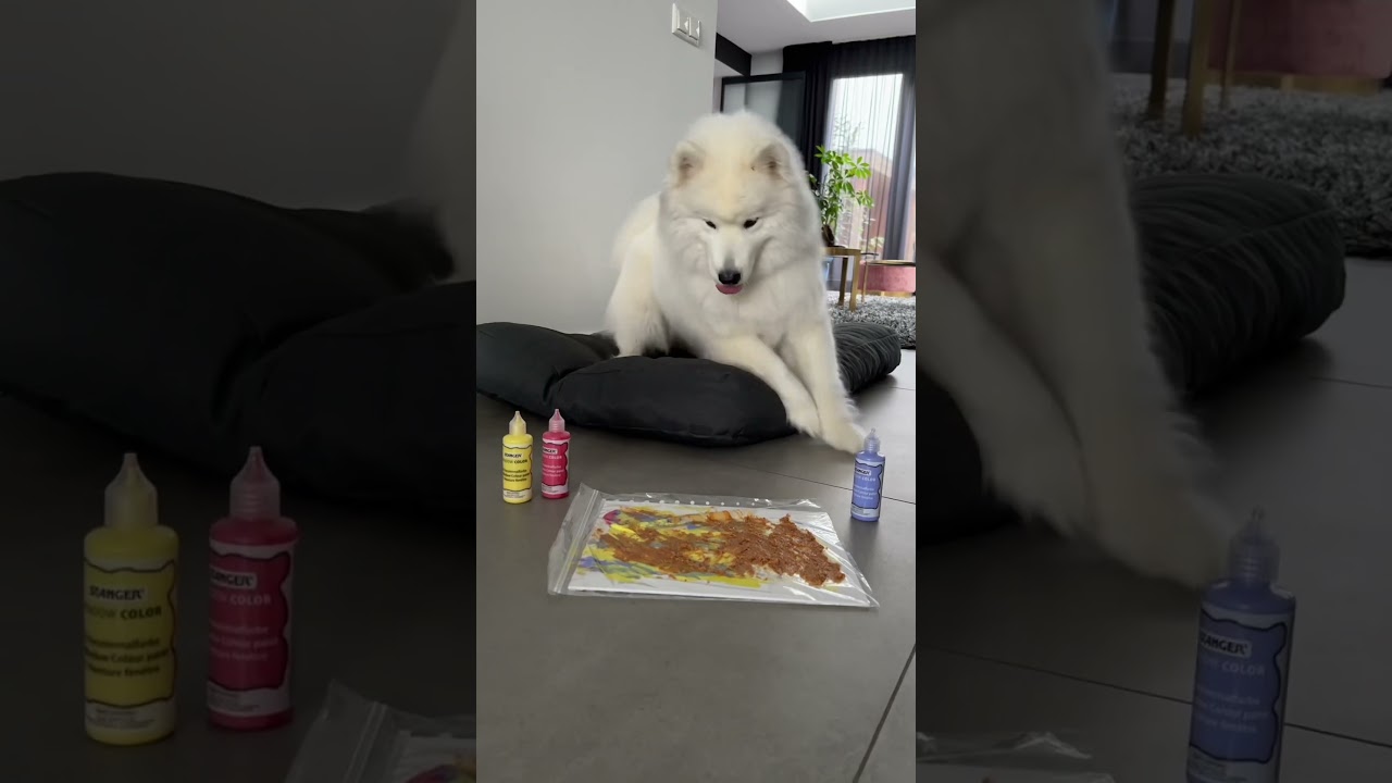 Paco de Hond is een kunstenaar! 🤯🎨