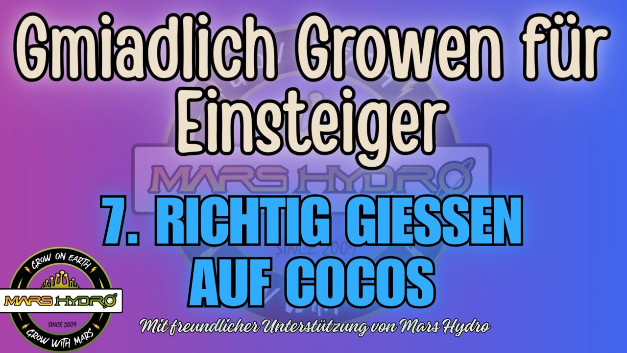Cannabisanbau f&uuml;r Einsteiger: Dein Start ins Indoor-Growing Teil 7: Richtig gie&szlig;en auf Cocos