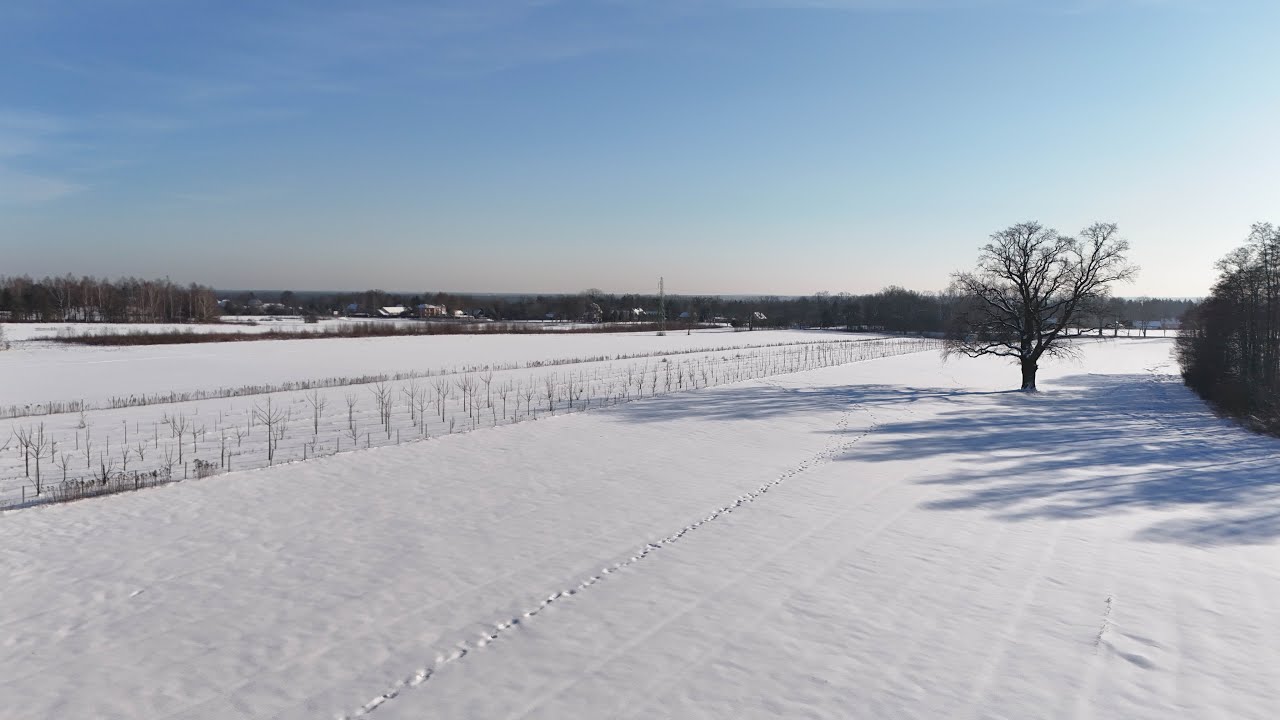 Uroki zimy 🥶❄️⛄️ #Winter #zima #travel #feriezimowe #mazowieckie #poland #polska #śnieg #snow #drone