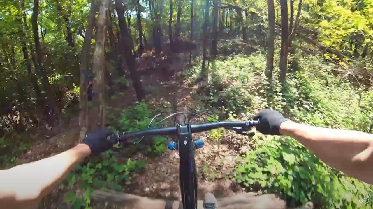 SPINA VERDE MTB - DUE LINEE IGNORANTI 🔥