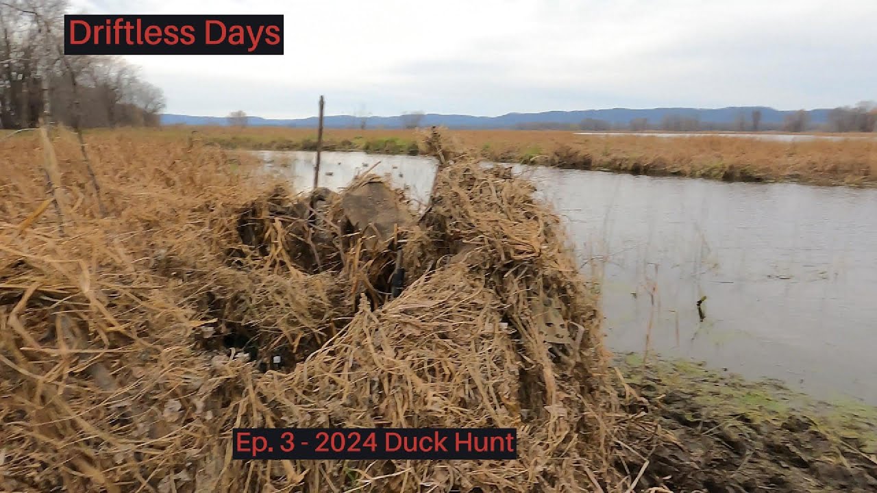 Mississippi River Duck Hunt 2024