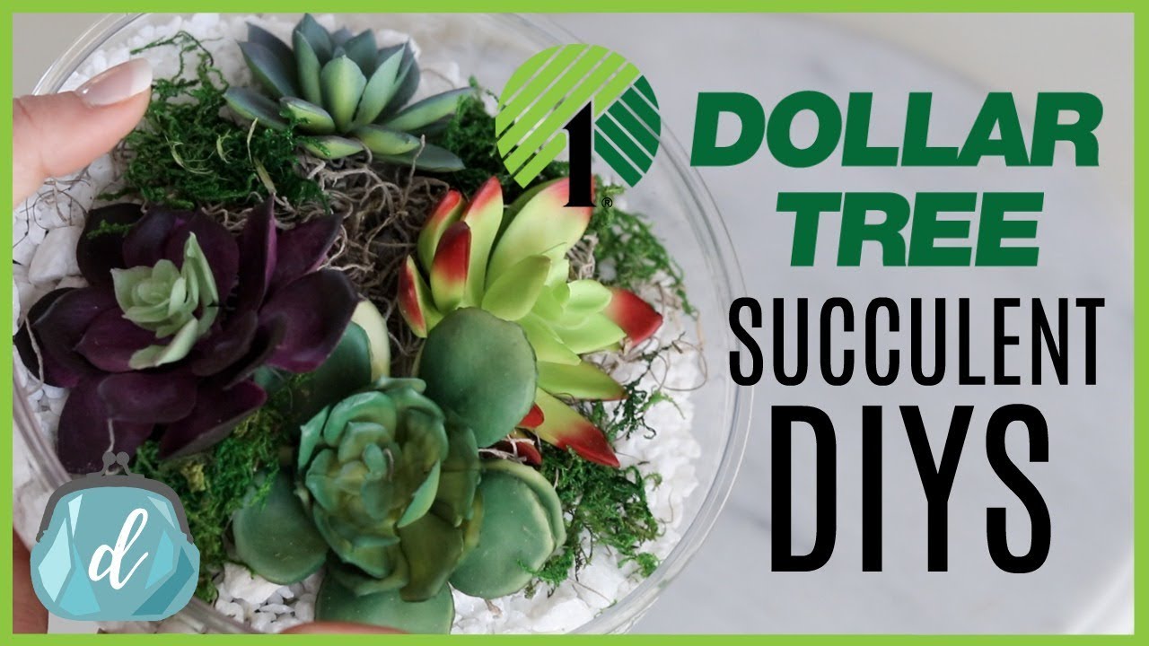 DOLLAR TREE Crate & Barrel DIY Dupes! 💚 Succulent Terrariums and Bowls