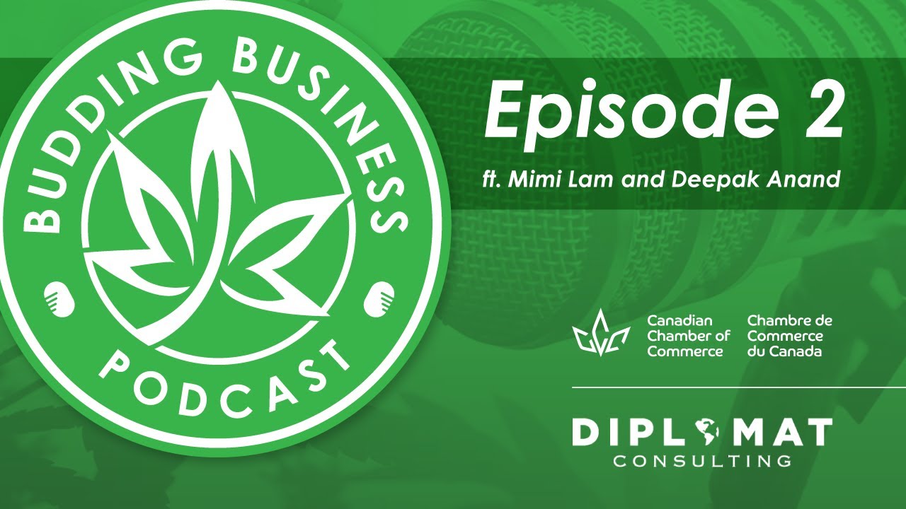 Episode 2 (ft. Mimi Lam and Deepak Anand)