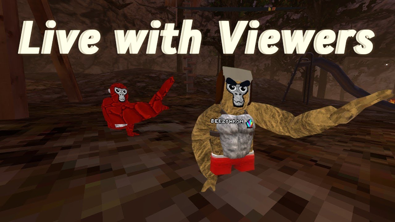 Live With Viewers #gorillatag #gorillatagquest #gtag #vr #livevideo #livestreamed #wizherd